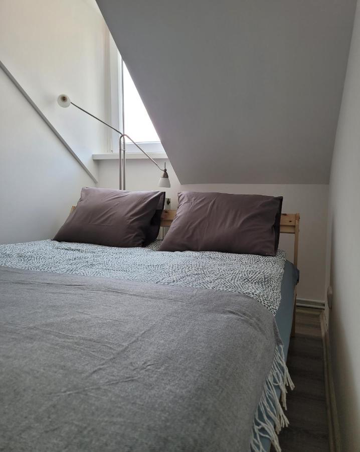 Excellent Apartments Central 3 Min Walk From The Colonnade Karlsbad Exteriör bild